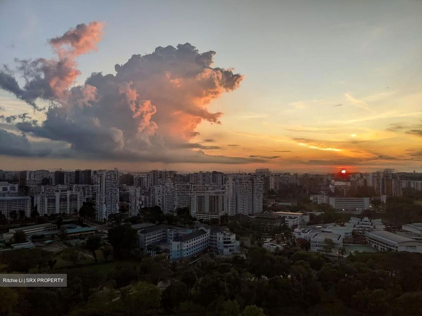 Blk 633B Senja Green (Bukit Panjang), HDB 4 Rooms #638788271